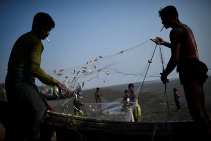 Los refugiados rohingya fuman mientras sacuden el pescado recién capturado de las redes en la playa de Shamlapur, Cox's Bazar (Bangladesh)