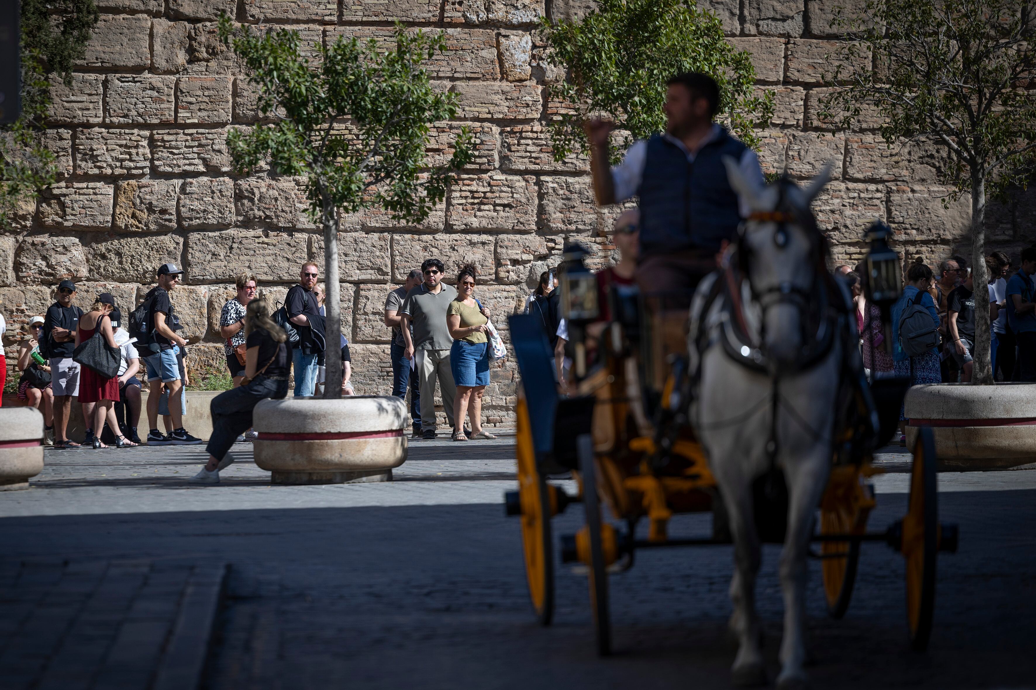 Un carruaje con turistas, este jueves junto al Alcázar de Sevilla.