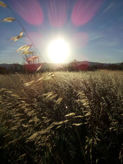 Inés Ortúzar, la autora de esta foto de una puesta de sol en Colmenarejo (Madrid), explica que la tomó con su 'smartphone' durante un paseo por las dehesas que rodean el campus de la Carlos III.