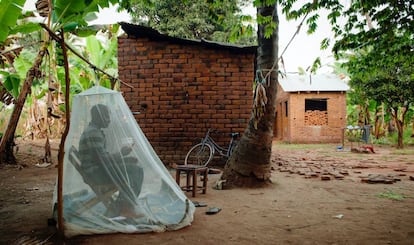 Un hombre sirve de señuelo para los mosquitos en Ifakara (Tanzania).