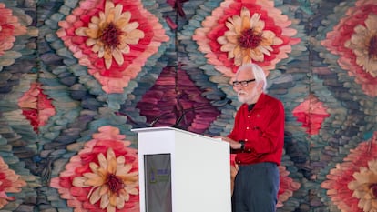 David Harvey, durante su conferencia de esta mañana en Ciudad de México. 