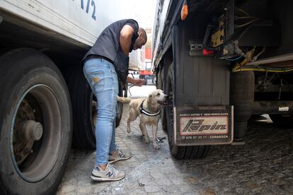 El perro de la Guardia Civil 'Ogro' inspecciona guiado por un agente un camión.