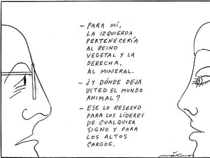 MÁXIMO