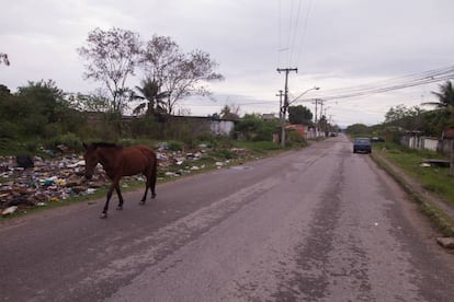 Estrada das Palmeiras onde, ao longo de um quilômetro, foram encontrados sete cadáveres.