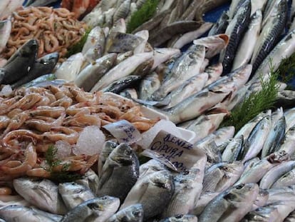 Un océano en la pescadería