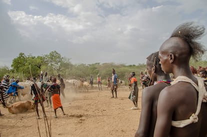 Hombres maduros parientes del iniciado colocan la fila de toros. Cada joven debe saltar la fila cuatro veces sin caerse para completar con éxito la ceremonia. Si fracasa tiene al menos otra oportunidad de intentarlo.