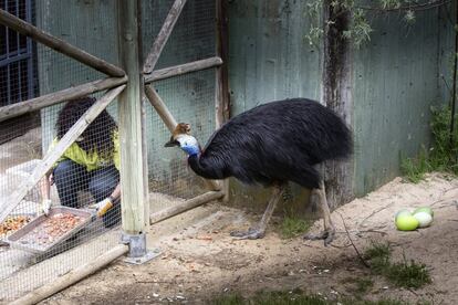 Visita al zoo de Madrid mes y medio despus de que se decretase el estado de alarma.