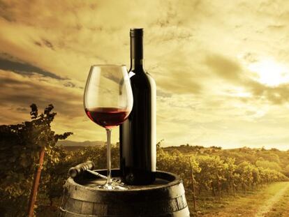EEUU ficha a los mejores emprendedores españoles del vino