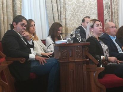 La sesión extraordinaria del pleno del Ayuntamiento de Alicante.