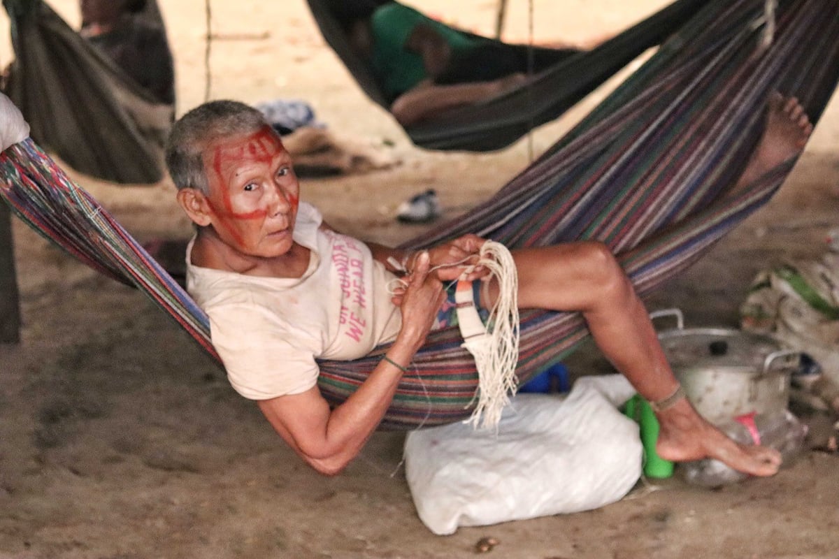 Guaviare: El último pueblo indígena contactado en Colombia lucha por  regresar a su hogar desde hace más de 30 años | En primera línea | Planeta  Futuro | EL PAÍS