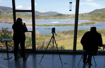 Marismas de Urdaibai desde el Bird Center de Arteaga.