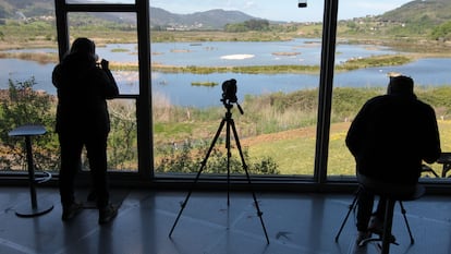 Marismas de Urdaibai desde el Bird Center de Arteaga.