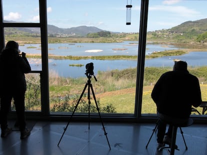 Marismas de Urdaibai desde el Bird Center de Arteaga.