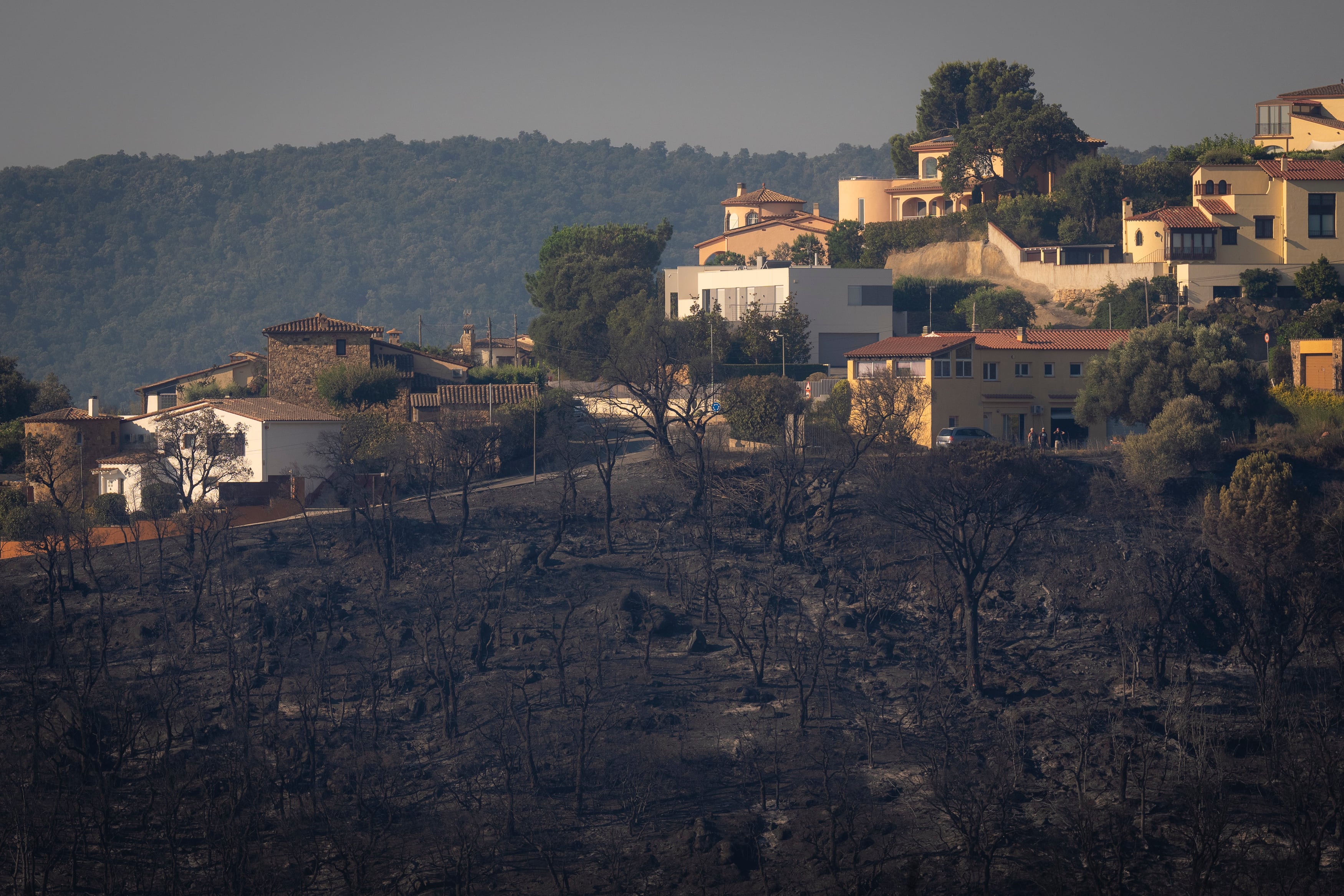 El fuego de Les Gavarres alcanza casas de una urbanización de Calonge, en la Costa Brava