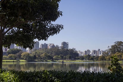 Parque Ibirapuera, na zona sul da capital.