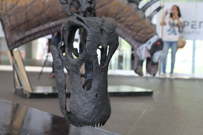 Maqueta de 'Bajadasaurus Pronuspinax' exhibida en el Centro Cultural de la Ciencia.