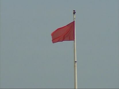 Bandera roja en la Malva-rosa