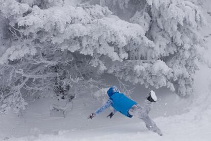 Drifting into winter: snowfall in the Madrid sierra earlier this autumn.