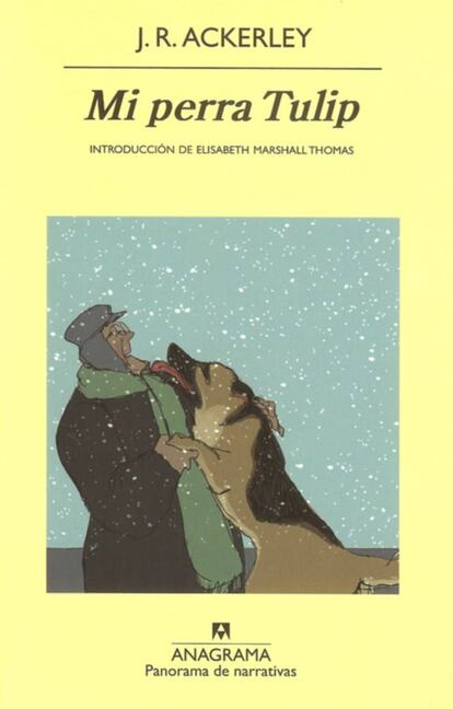 El escritor y crítico británico, además de ser gran amigo de E.M. Forster, autor de Regreso a Howards End, tenía un estrecho vínculo con su propia perra, un ejemplar de pastor alemán llamada Tulip, que llegó a su vida cuando él era un solterón de mediana edad. Los lazos que se crearon entre ambos le resultaron totalmente inesperados, de ahí que escribiese este texto lleno afecto hacia su más-que-mascota. El largometraje homónimo de animación, basado en el texto y estrenado en 2010, cuenta con las voces originales de Christopher Plummer e Isabella Rossellini.