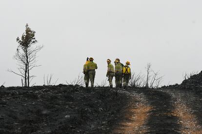 Miembros de una brigada de extinción, en el incendio de Teleeno, este fin de semana.