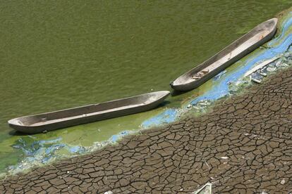 Efectos de una larga sequía en la aldea de Kedng Sumber, en Indonesia, en octubre de 2013.