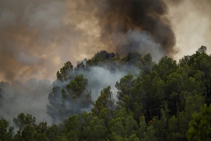 El fuego arrasa los bosques en Xerta (Tarragona) este martes.