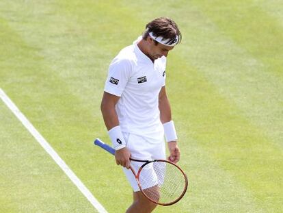 David Ferrer, en el torneo de Nottingham