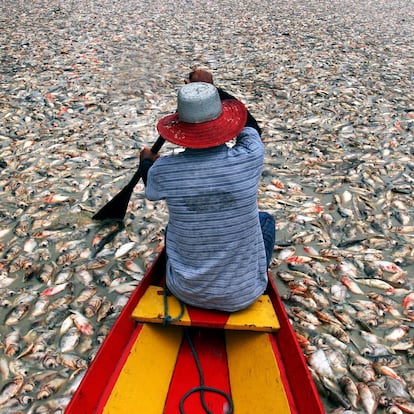 Sudamérica cambio climático