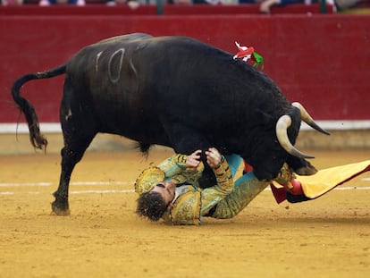 El torero de Jerez es arrollado por el toro tras la cogida.