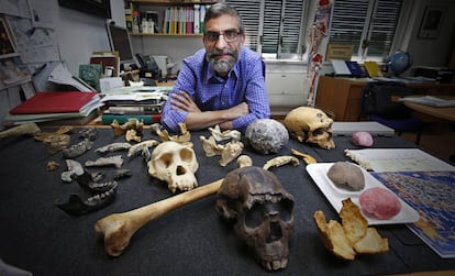 Antonio Rosas, en su despacho en el Museo Nacional de Ciencias Naturales, en Madrid