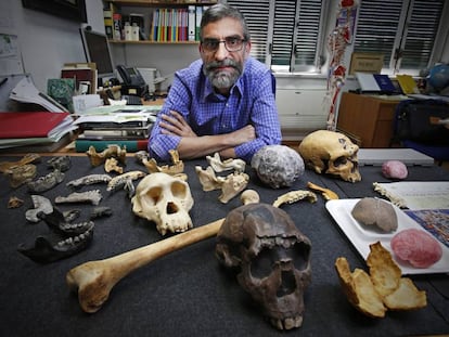 Antonio Rosas, en su despacho en el Museo Nacional de Ciencias Naturales, en Madrid