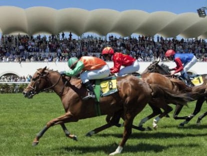 Carrera en el Hip&oacute;dromo de la Zarzuela.