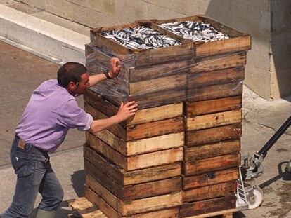 Dos personas trasladan cajas de anchoas en Lekeitio hace cuatro años.
