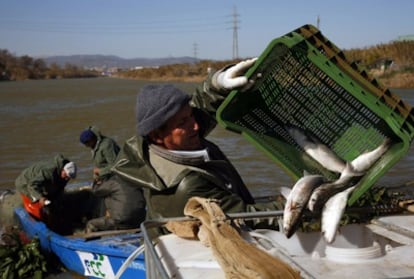 Una barca de pescadores faena en la desembocadura del Llobregat, en una foto de archivo.