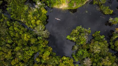 Bosque tropical de la selva amazónica en Colombia, en abril de 2023.