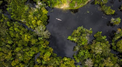 Amazon rainforest in Colombia