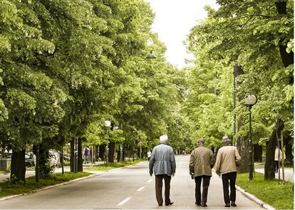 Tres jubilados caminan por un parque.