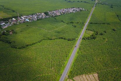 Vista aérea de una plantación bananera en la localidad antioqueña de Uraba, en junio de este año.