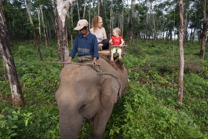 Ban Lung en la mejor base de operaciones para explorar la apartada provincia de Ratanakiri, de gran belleza natural. En pocos lugares de Camboya resulta tan fácil organizar una caminata por la selva. Al oeste, escondidas entre plantaciones de caucho y anacardos, están las cascadas de Chaa Ong, Ka Tieng y Kinchaan. Se pueden realizar paseos en elefante de una hora cerca de la catarata de Ka Tieng (en la foto).