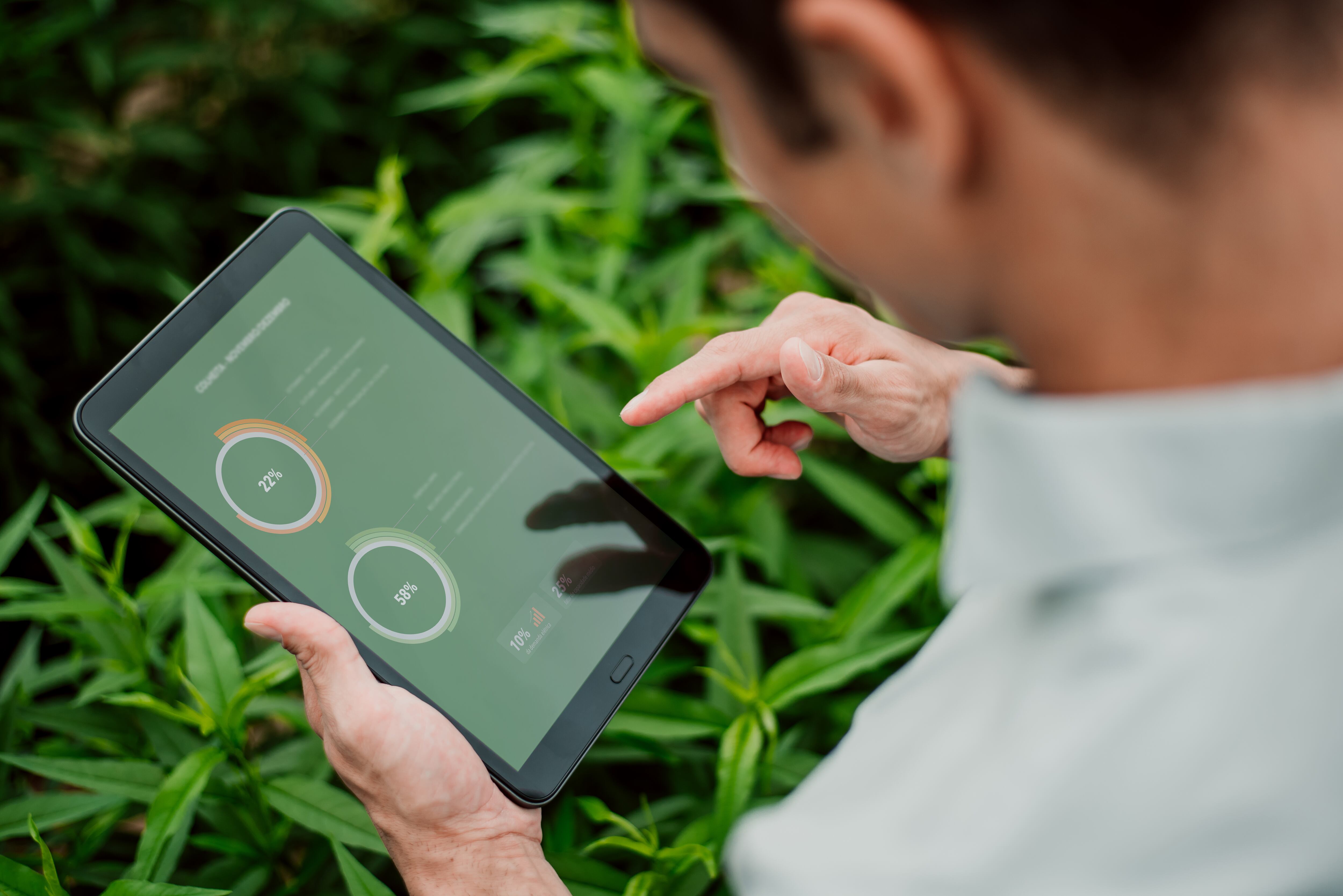 ¿Cómo Colombia puede desarrollar el potencial de los empleos verdes?