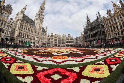 Fotografía tomada con un objetivo de ojo de pez que muestra la Grand Place en Bruselas (Bélgica) adornada con una alfombra de flores.