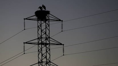 Tendido eléctrico cercano a la Catedral de Pamplona.