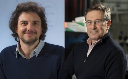 Los investigadores estadounidenses David Sabatini y Michael Hall.