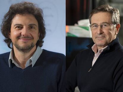 Los investigadores estadounidenses David Sabatini y Michael Hall.