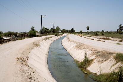 Canales de irrigación reparten el agua a todos los terrenos que tienen una concesión hídrica.