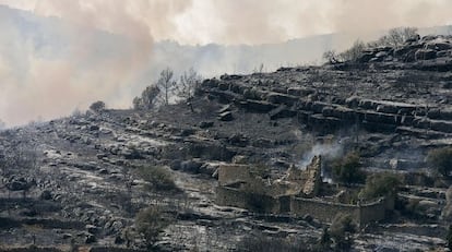 Una de las zonas afectadas por el incendio de la comarca castellonense de L&rsquo;Alcalat&eacute;n en agosto de 2007. 