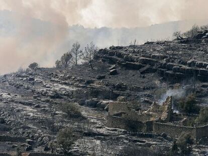 Una de las zonas afectadas por el incendio de la comarca castellonense de L’Alcalatén en agosto de 2007.