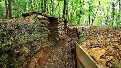 Trincheras de la Primera Guerra Mundial que se pueden visitar en el bosque de Verdún (norte de Francia), una masa forestal recuperada de la devastadora batalla. 
