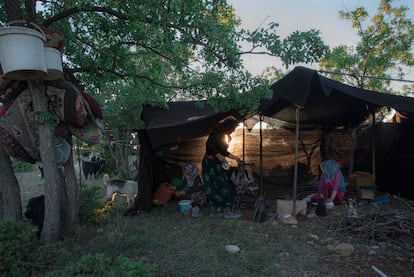 La familia de Mehmet vive en una tienda hecha con pieles de cabra. Durante la migración, la montan y desmontan cada día y pasan las veladas junto a una hoguera mientras su rebaño de cabras pasta cerca. Pincha en la imagen para ver la fotogalería completa.