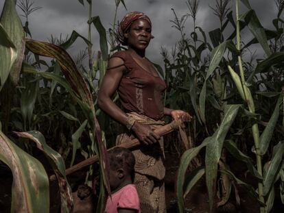 Delinda, de 25 años, trabaja en la parcela de tierra de su familia en Lichinga, Mozambique el pasado 29 de marzo de 2017. Antes era empleada de Green Resources, pero dejó la empresa porque no le gustaba trabajar para ellos. Comenta que con ese empleo "se podía ganar mucho dinero, pero los objetivos eran exigentes, entre los trabajadores había temas políticos, y no lo pude aguantar mucho tiempo. Quería mi antigua manera de vivir, así que volví [a la aldea de Nconda] a trabajar con mi familia". La casa familiar estaba justo al lado de las plantaciones de Green Resources, que habían sido objeto de ataques e incendios provocados.